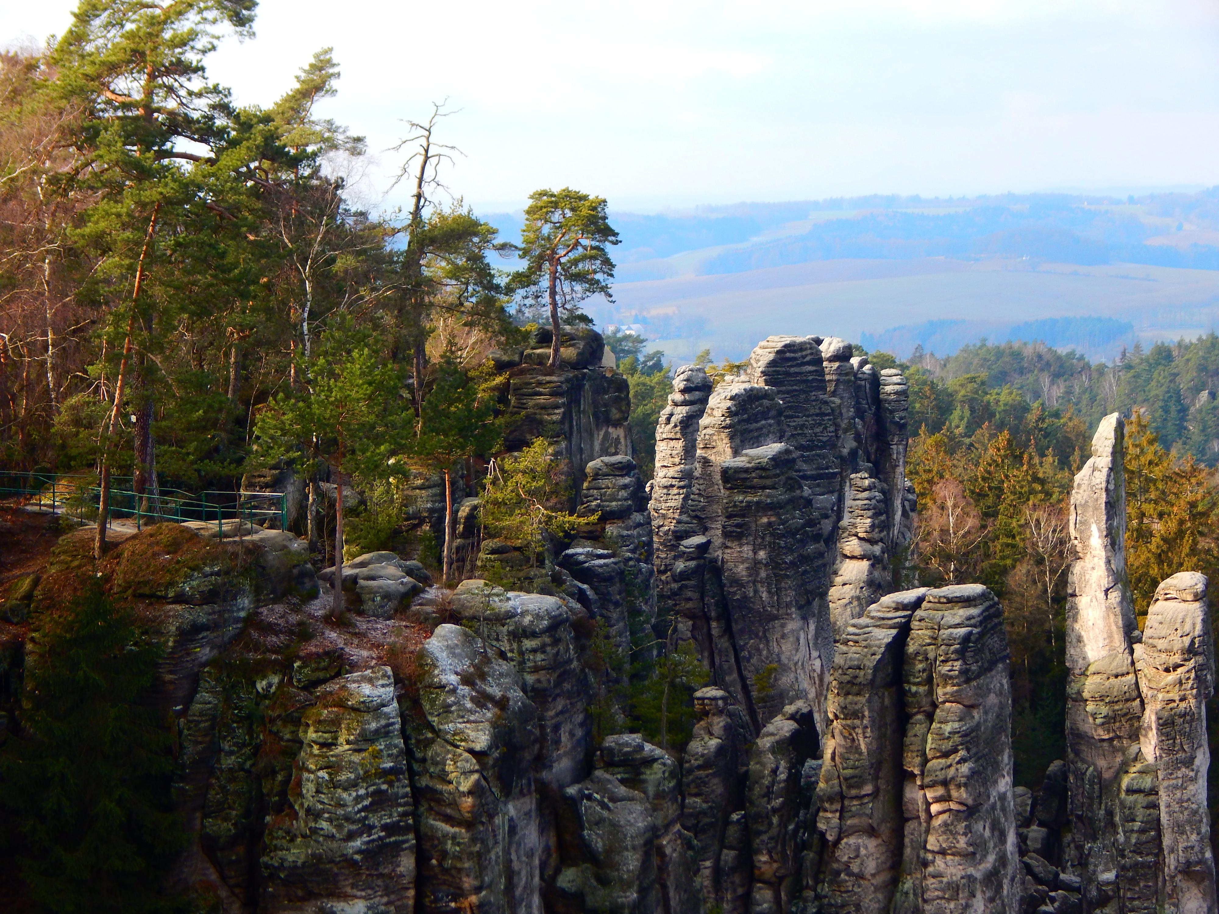 Green Zebra Tours foto 2