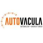 logo - AUTO VACULA