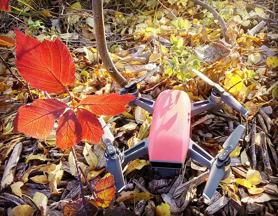 Re-dron foto 1