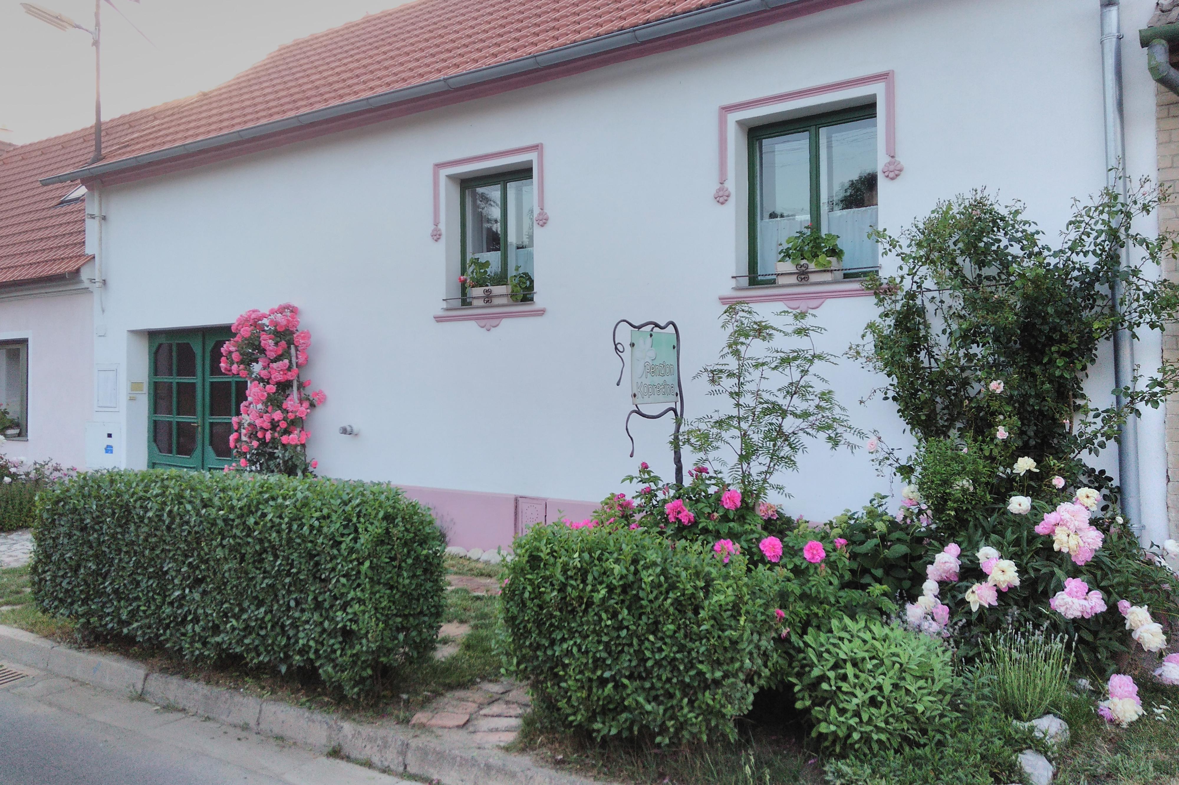 Penzion Kopretina