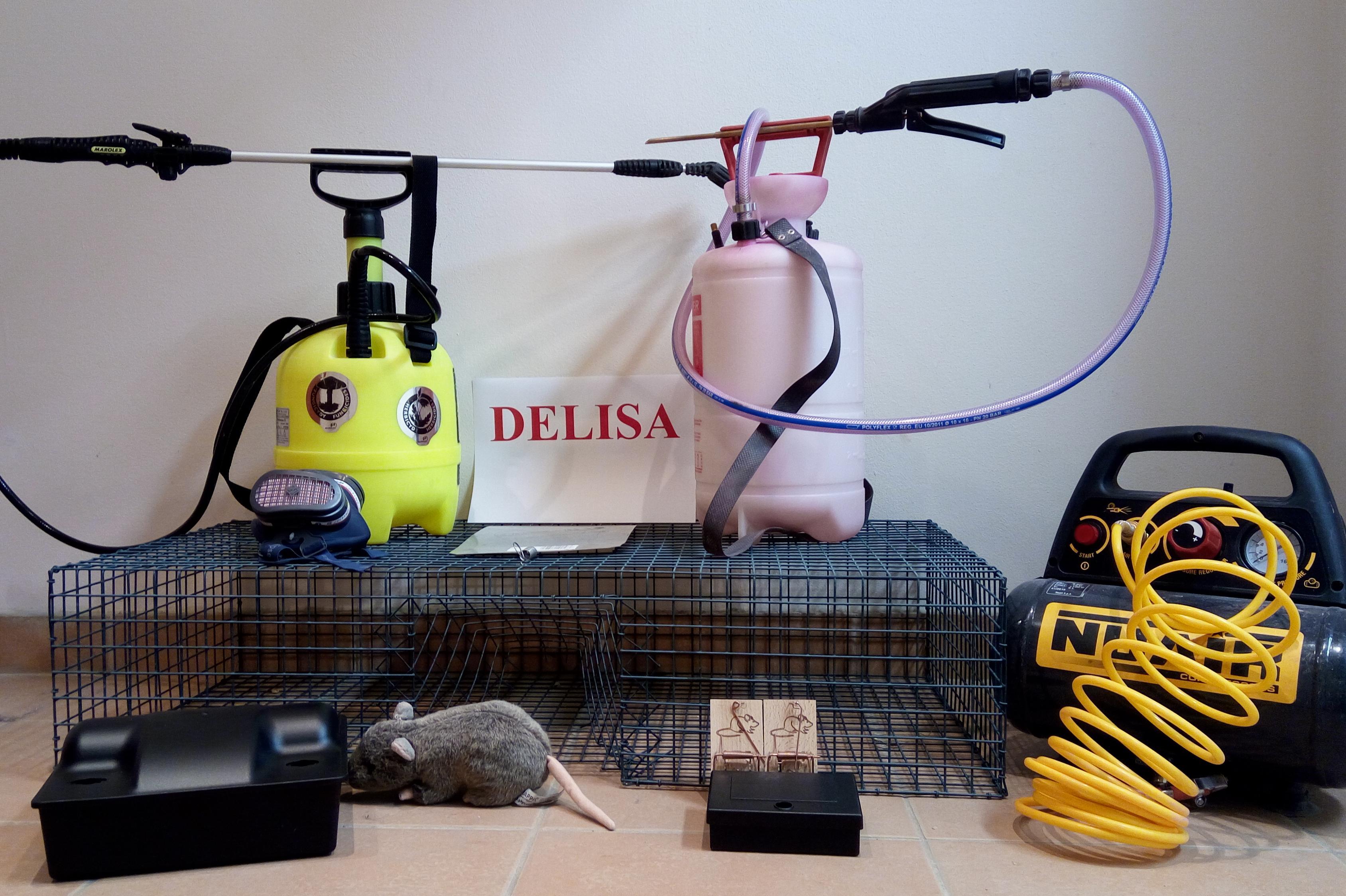 DELISA - deratizace, likvidace, sanace