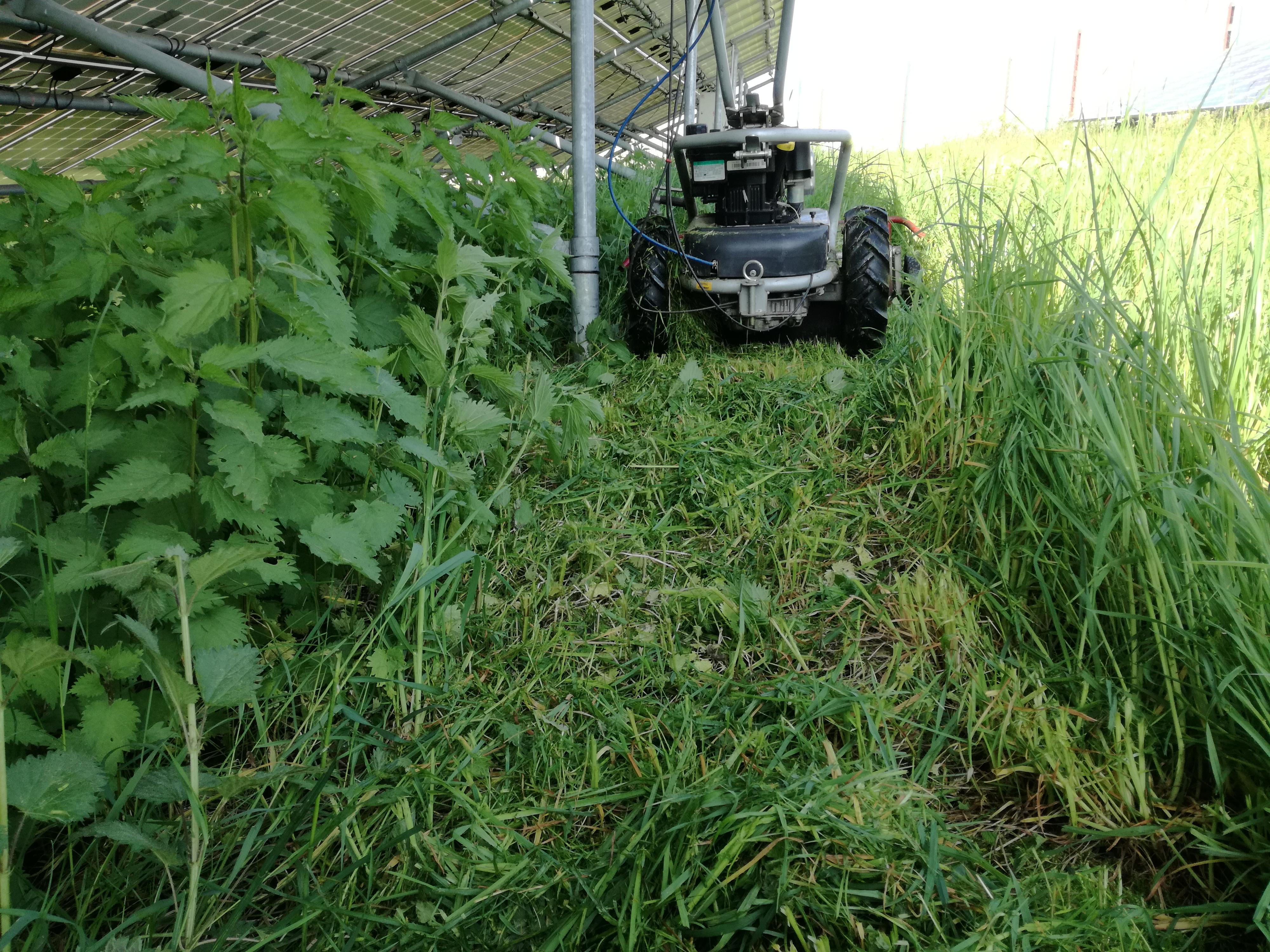 Autodoprava - Rekultivace zeleně Václav Borodenko foto 4