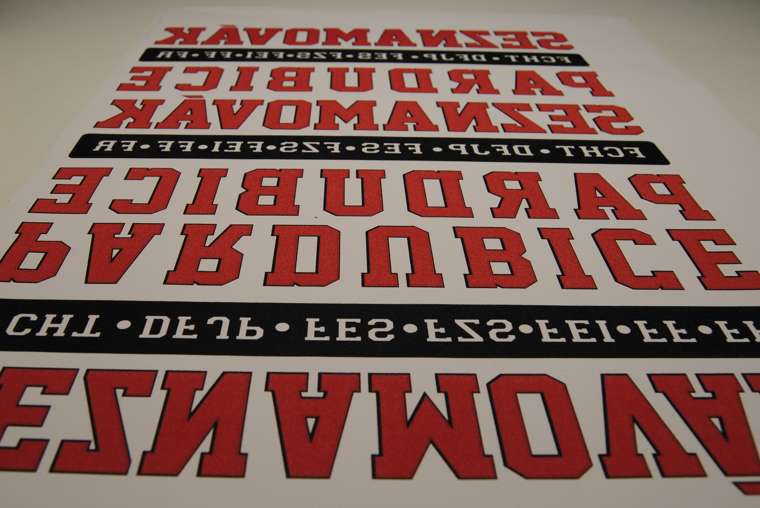 ExPT print foto 5