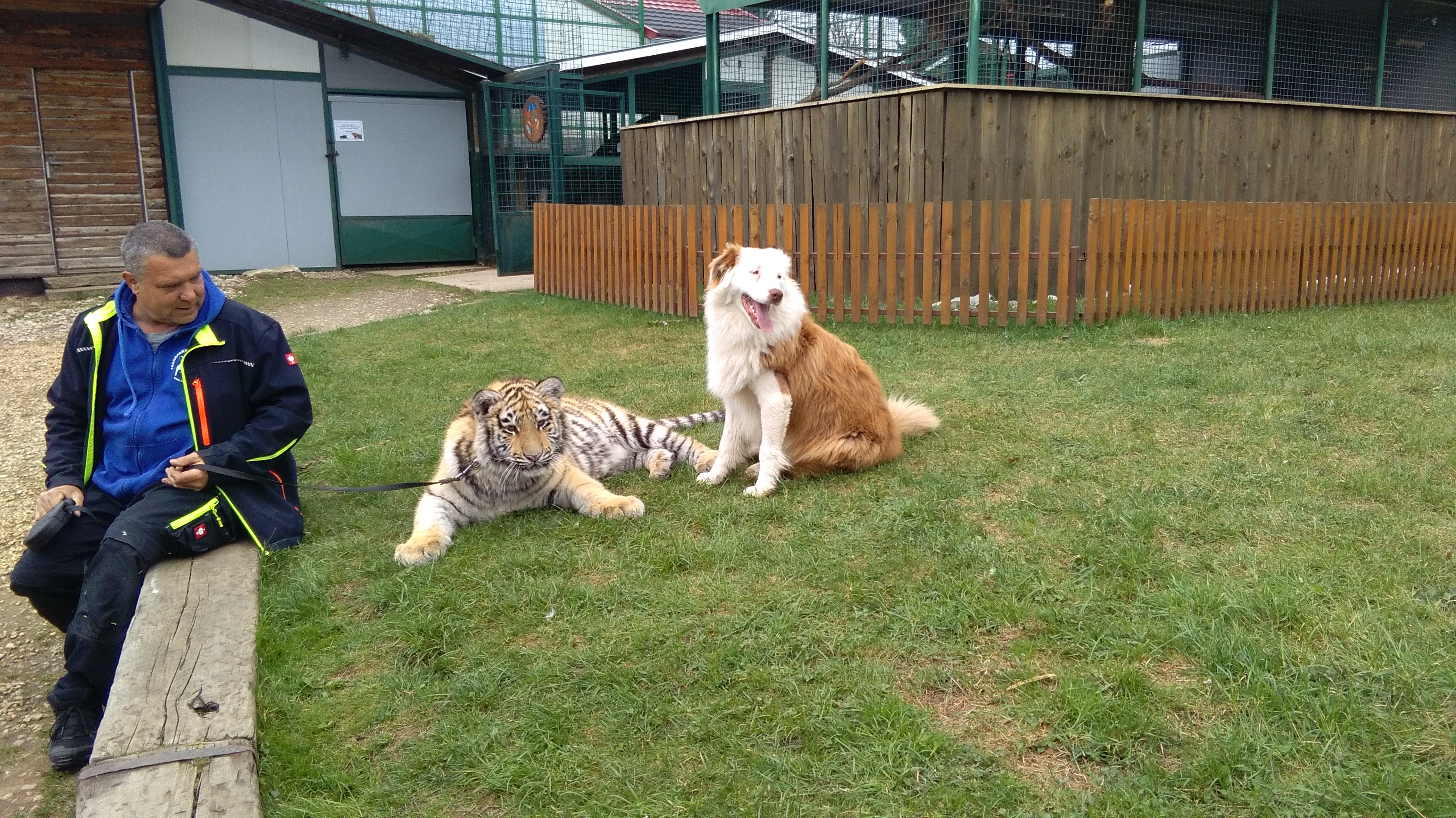 Penzion FaunaPark foto 2