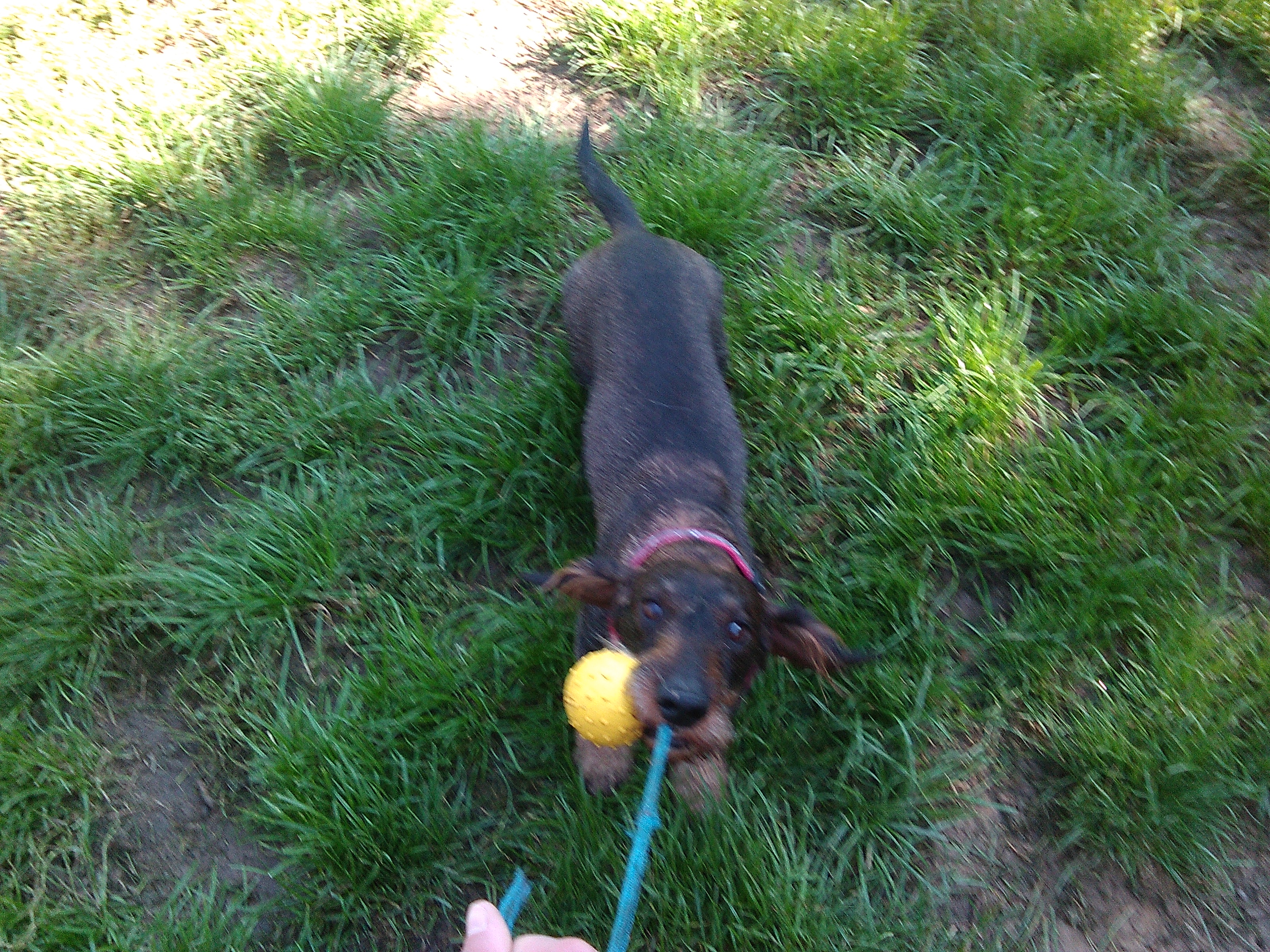 Ing. Magdalena Šetlíková foto 3