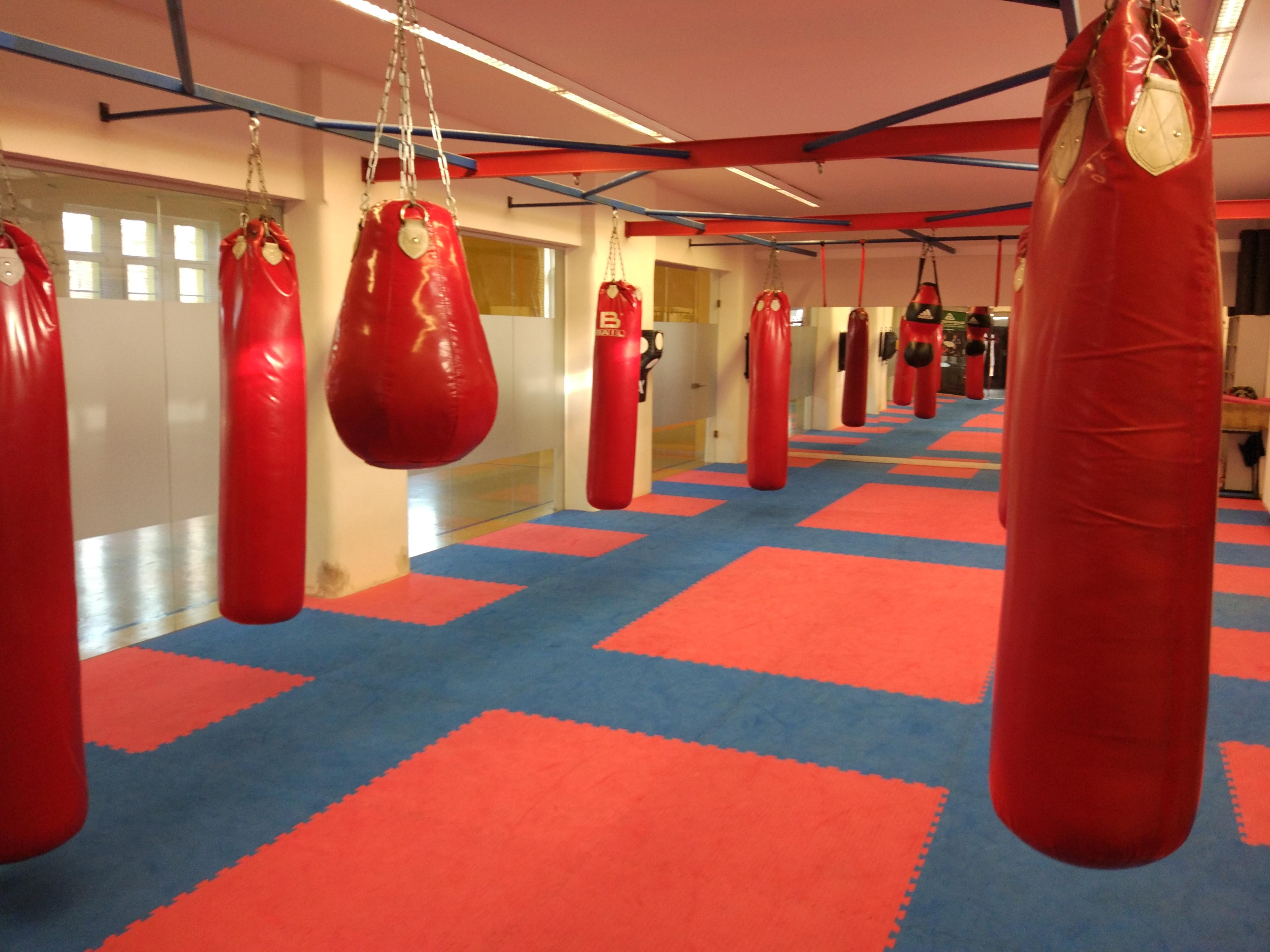 BOXING - CLUB - STAR - PLZEŇ foto 3