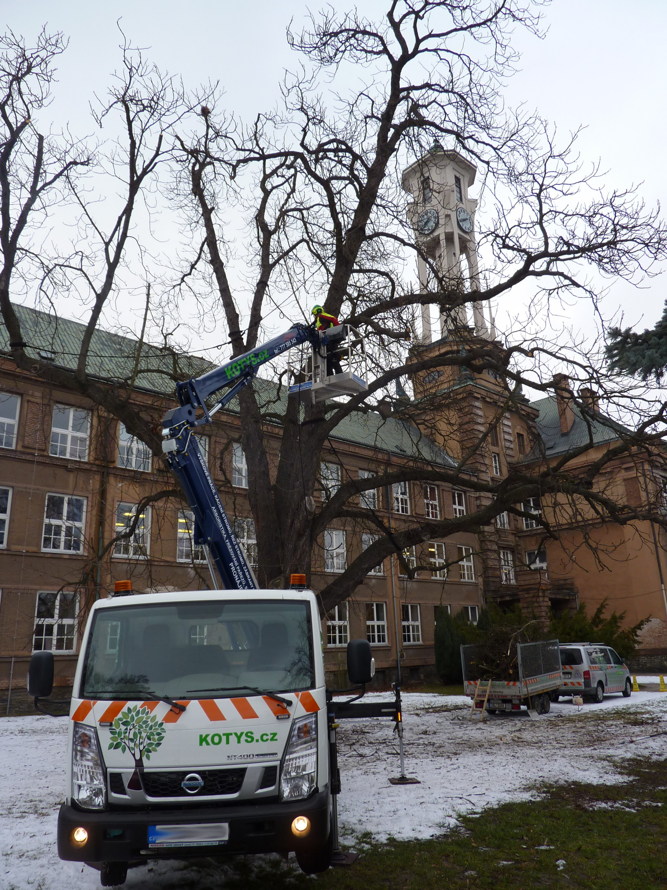 Kotys - údržba zeleně a výškové práce foto 3