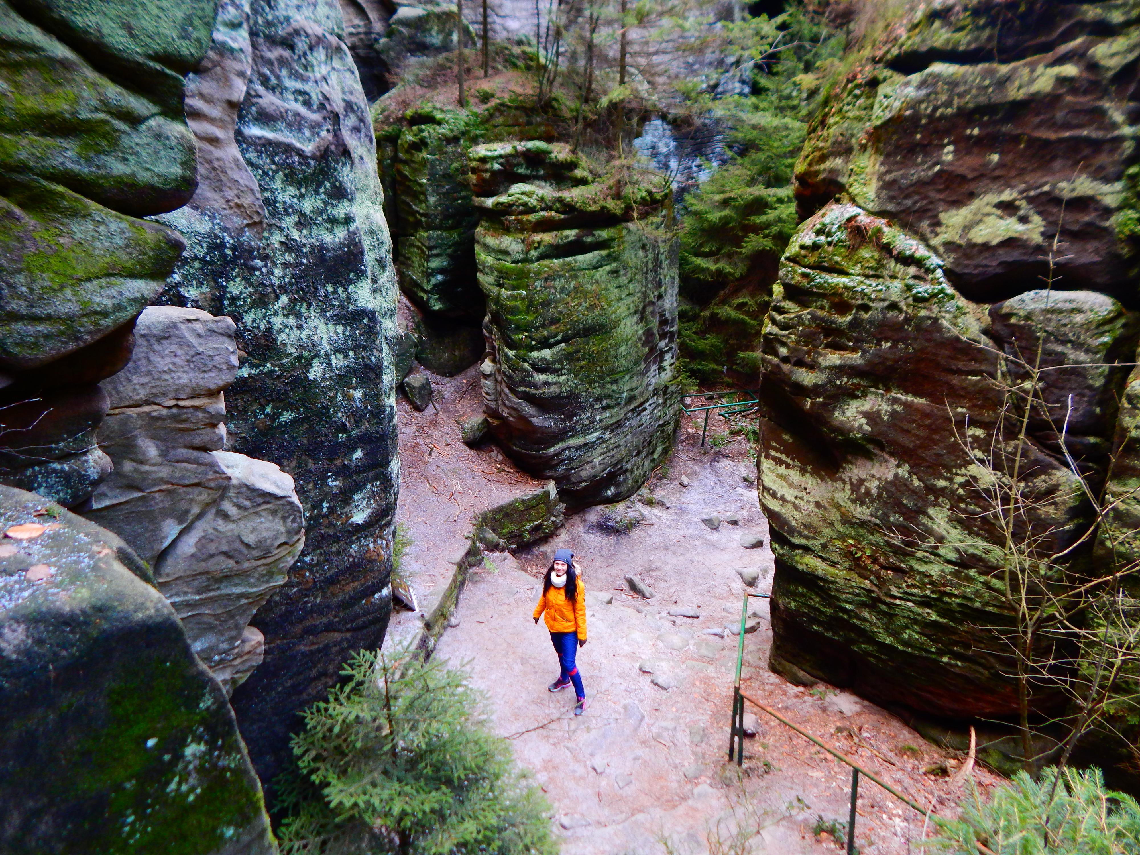 Green Zebra Tours foto 4