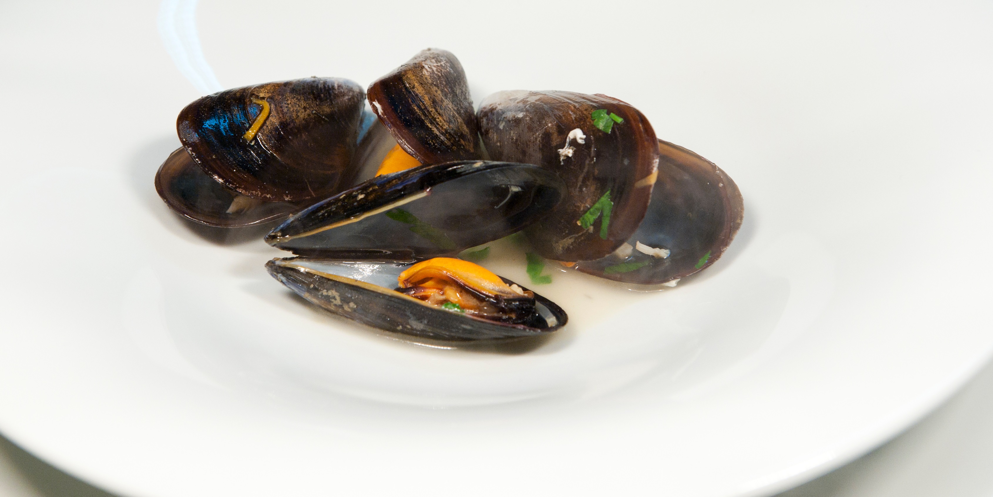 Jaroslav Florian - fotografické služby foto 4