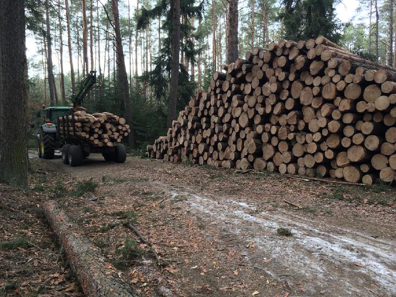 Lesy Jeřábek, s.r.o. foto 2