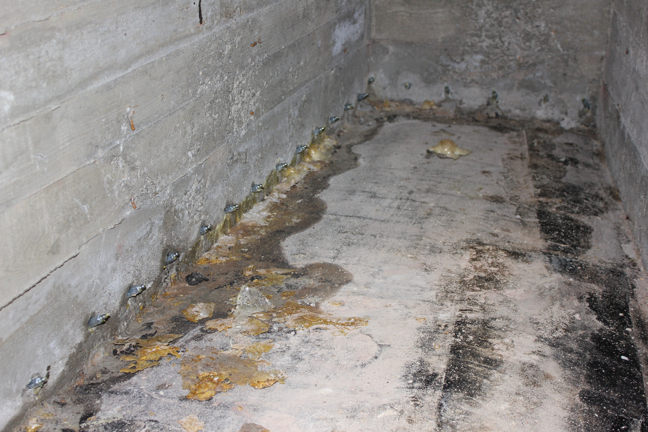 SANATĚS OLOMOUC, s.r.o. foto 6