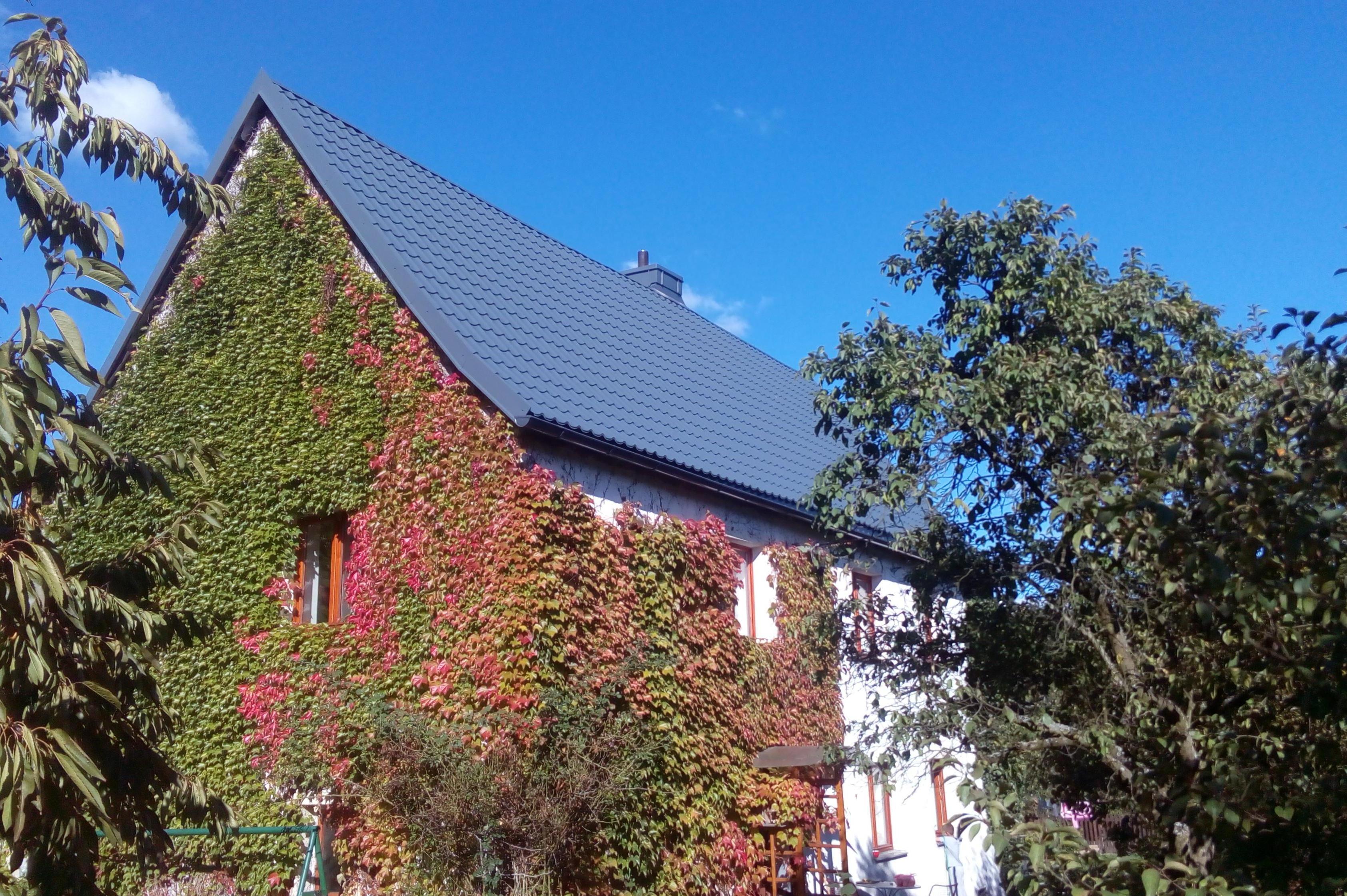 Adam Stehlík - opravy střech