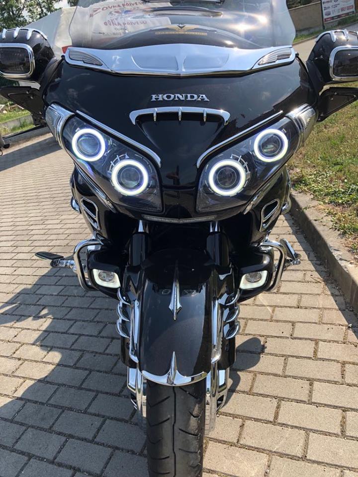 ProGoldwing foto 4