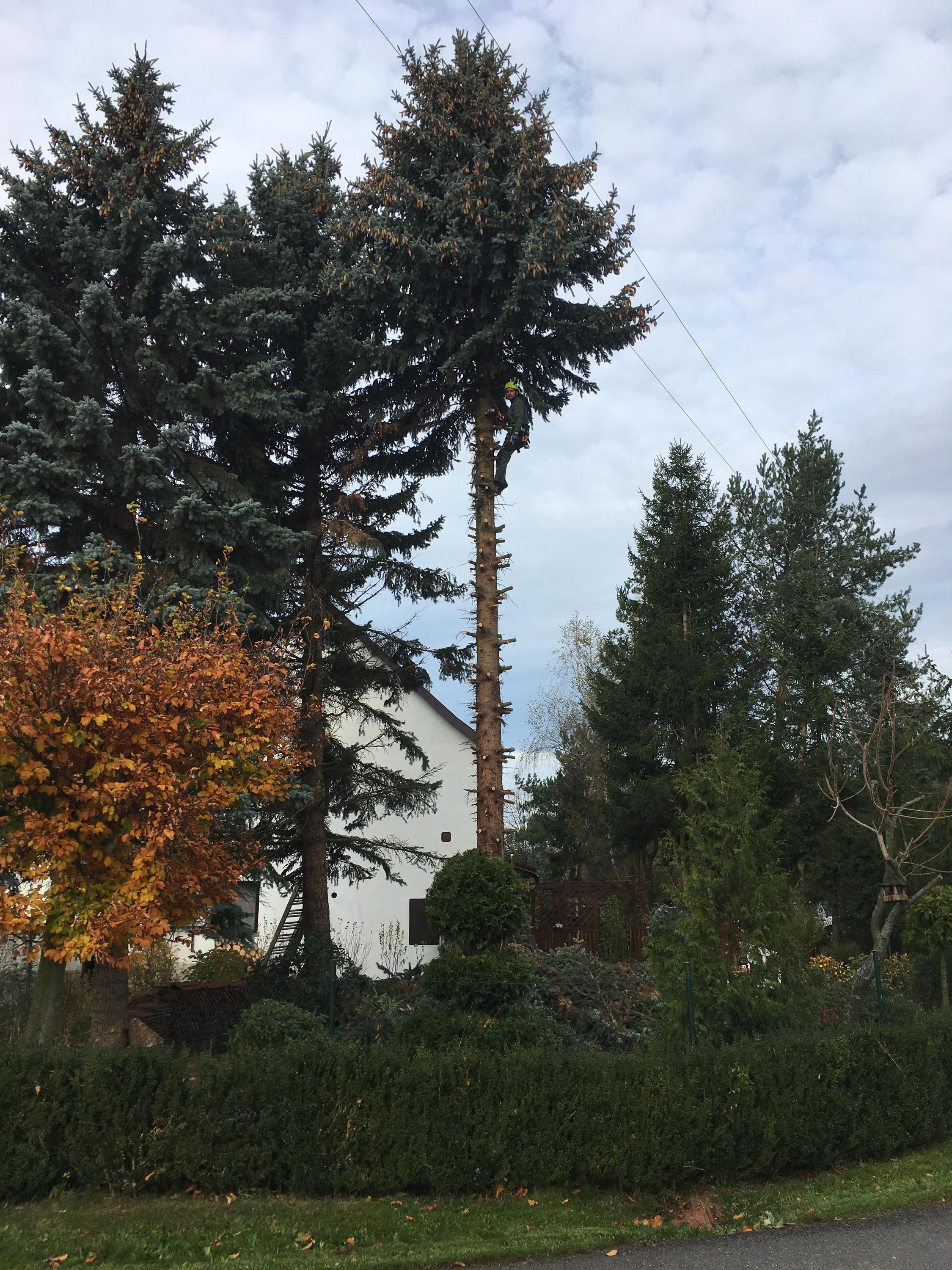 Matej Vrabel' foto 3