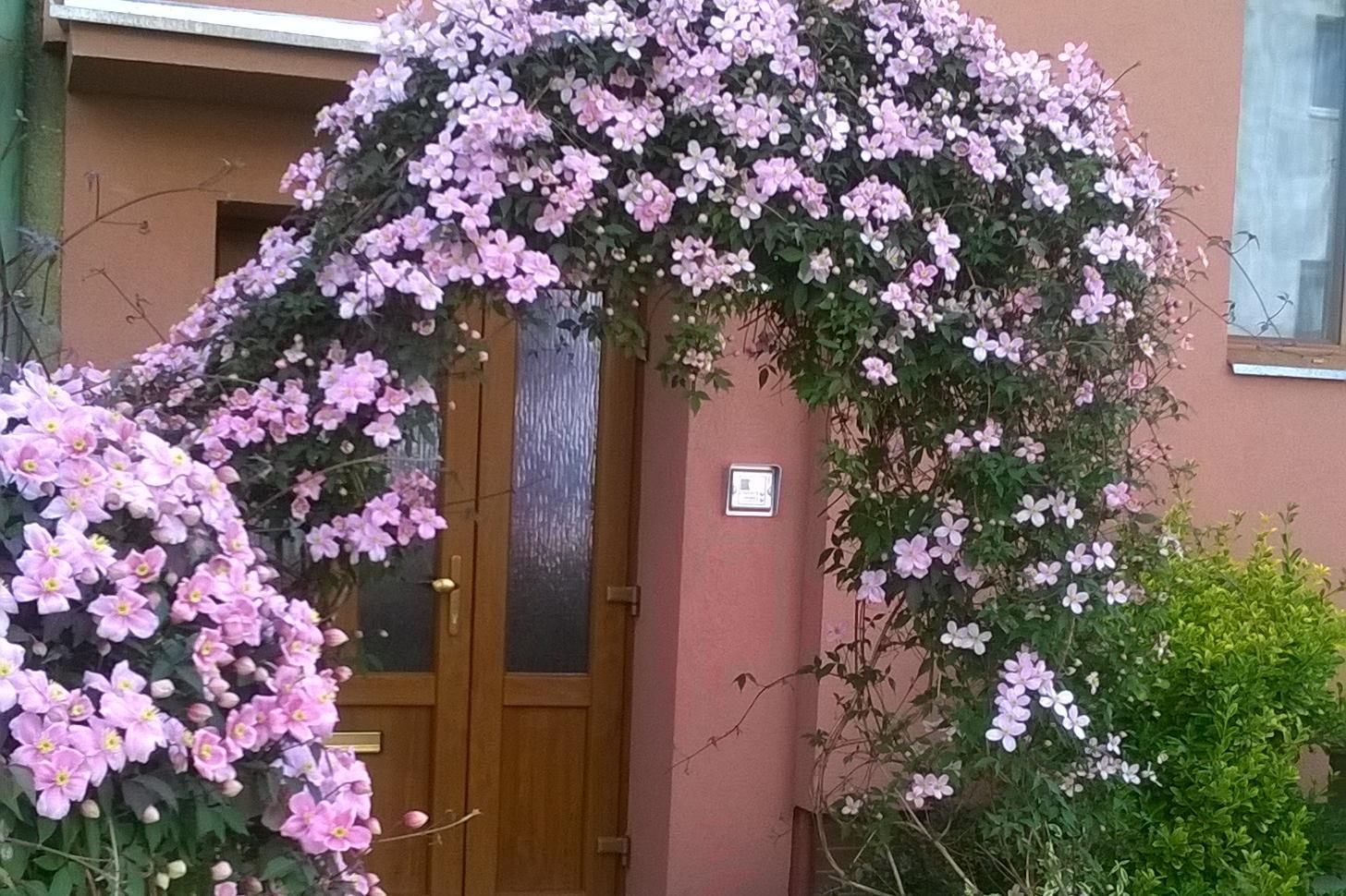 Advokátní kancelář AK JAMIN - Mgr. Ing. Pavlína Jamin, advokát