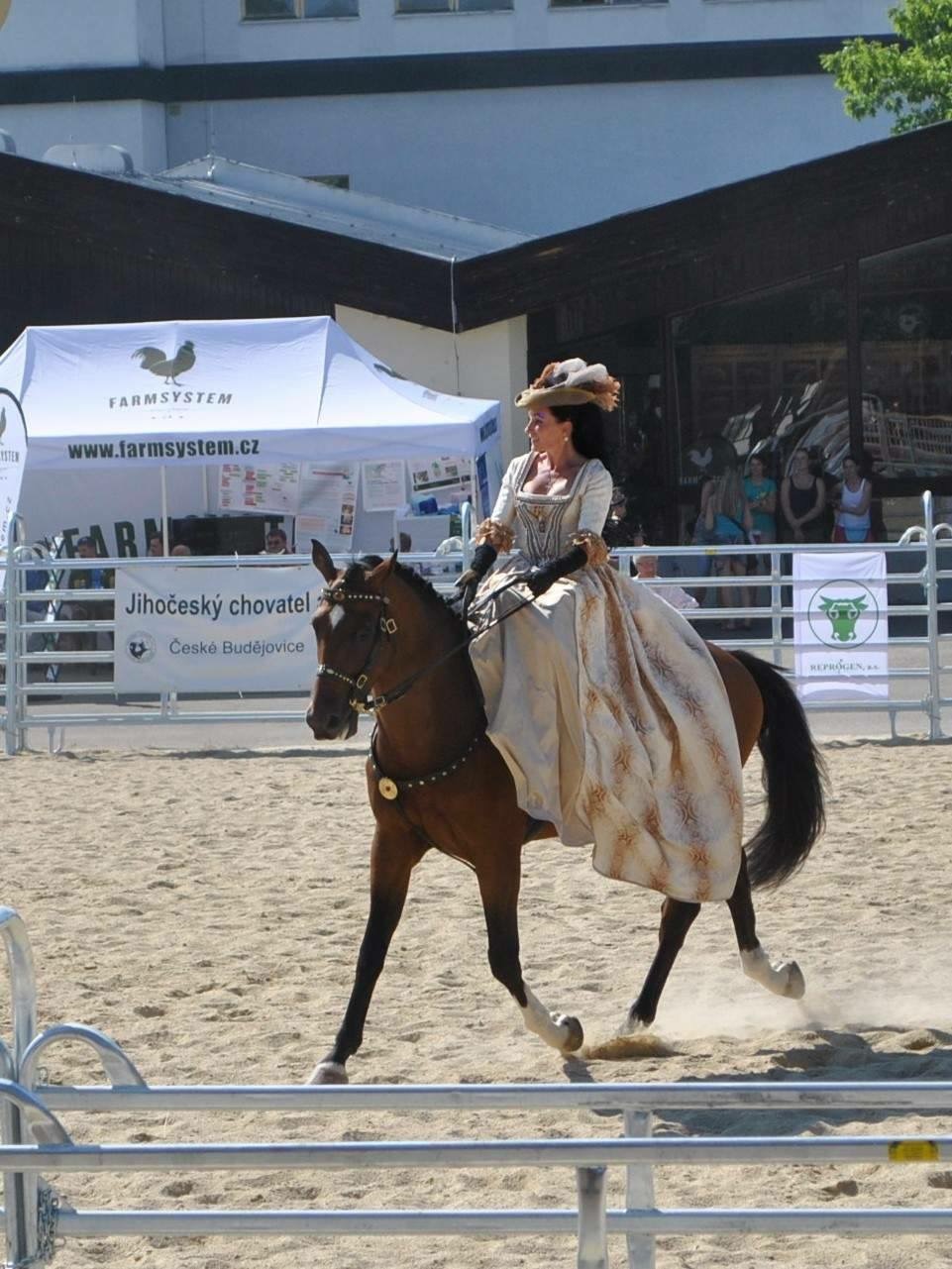 Ivana Nováková foto 4