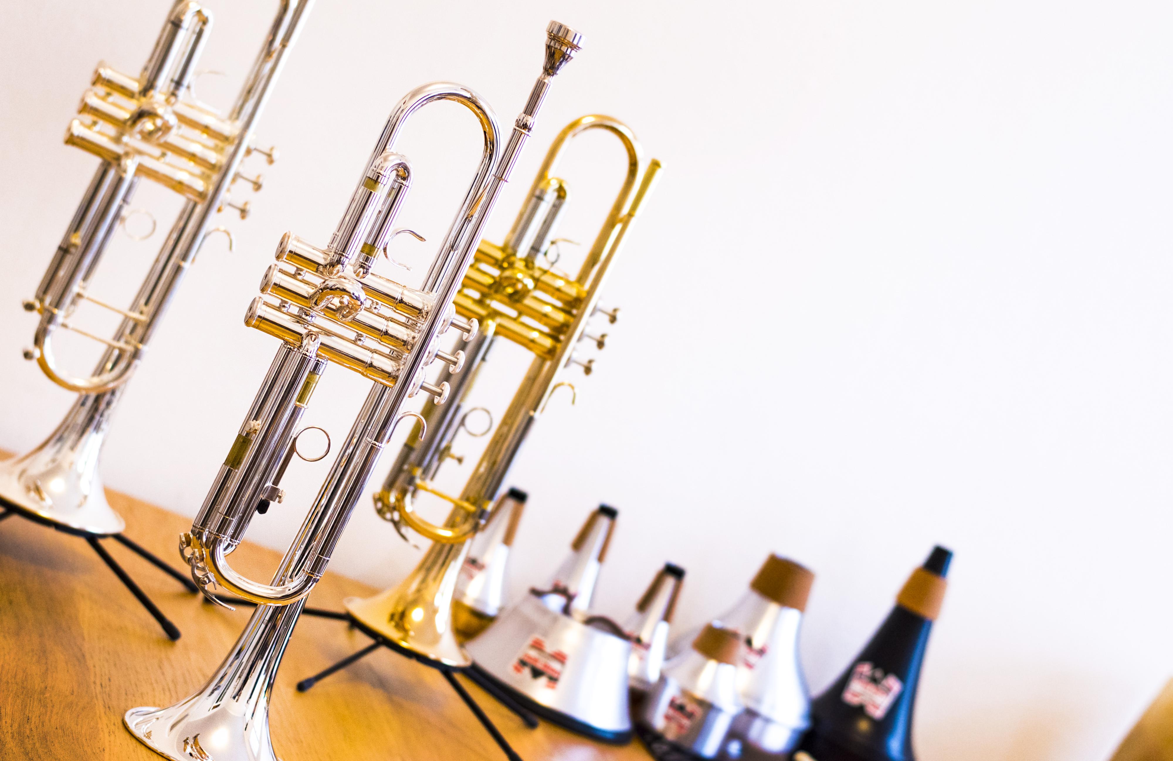 Sax & Flute CZ foto 4