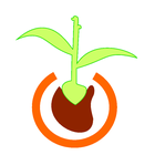 Logo obchodu Flore.cz