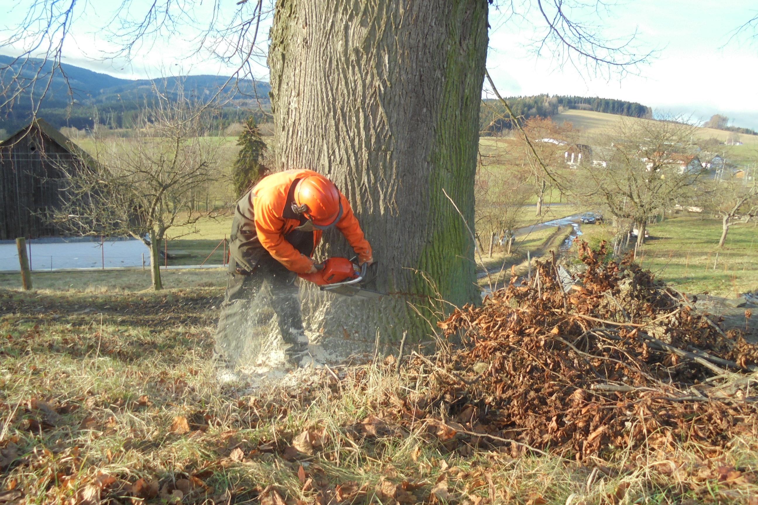 Zdeněk Mautner