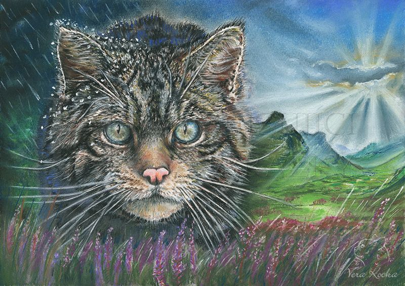 Ing. arch. Věra Burešová foto 2