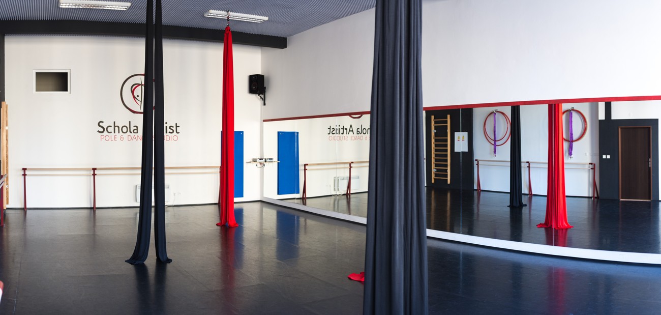 Schola Artist - Pole & Dance studio foto 4