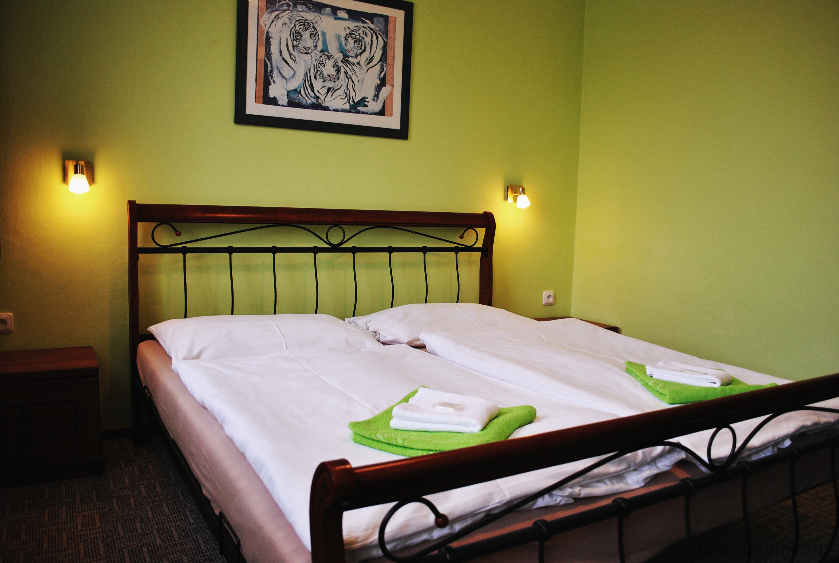 Hotel Hvězda, spol. s r.o. foto 3