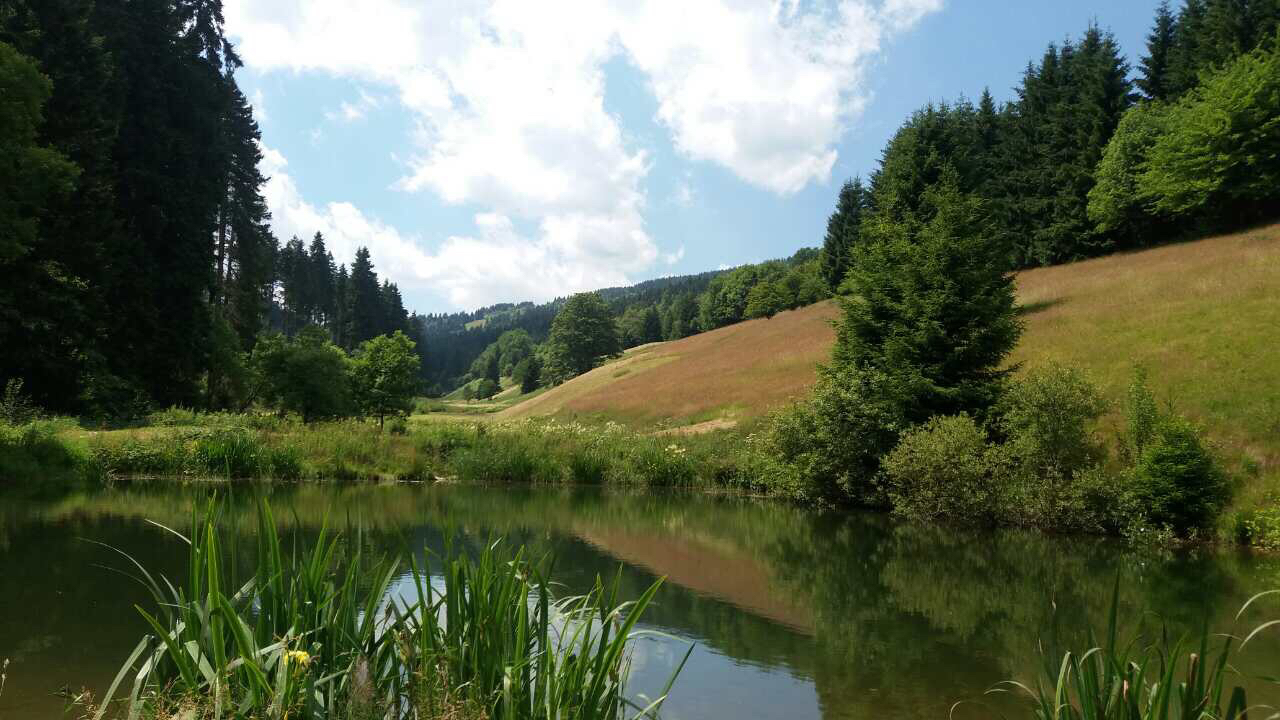 Rekreační dům Pod Klínovcem foto 5