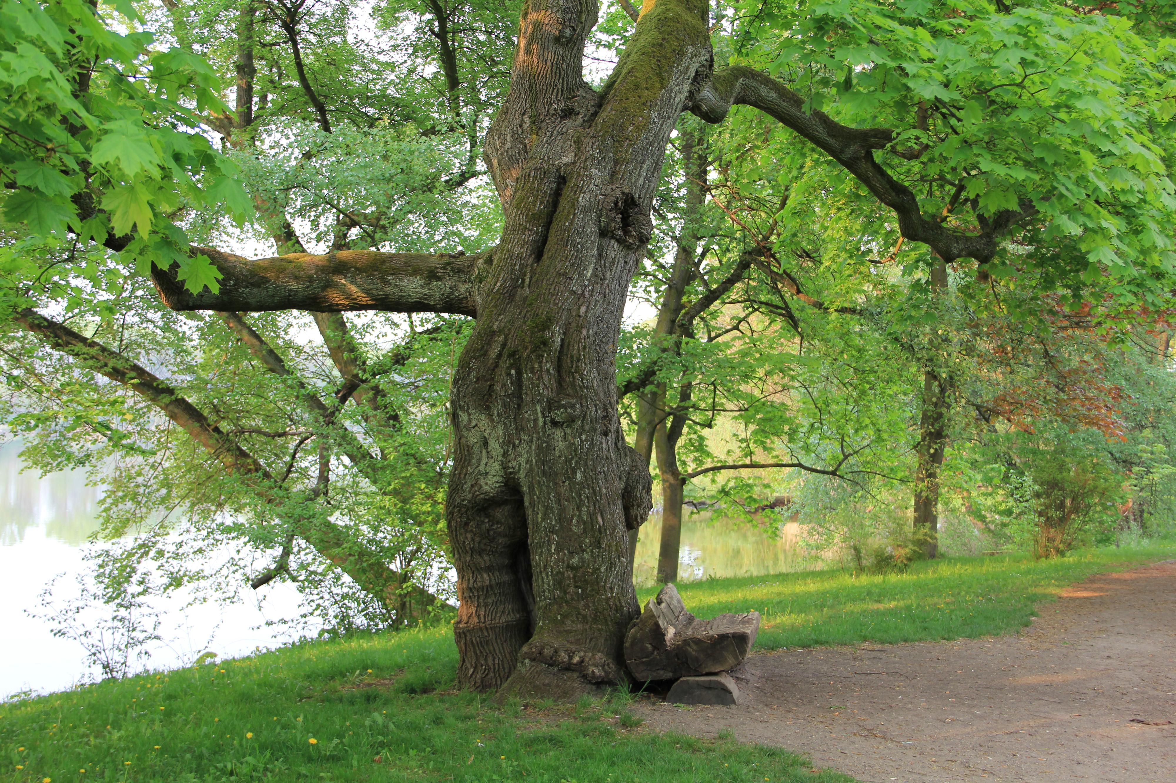 Střední škola zahradnická Kopidlno foto 2
