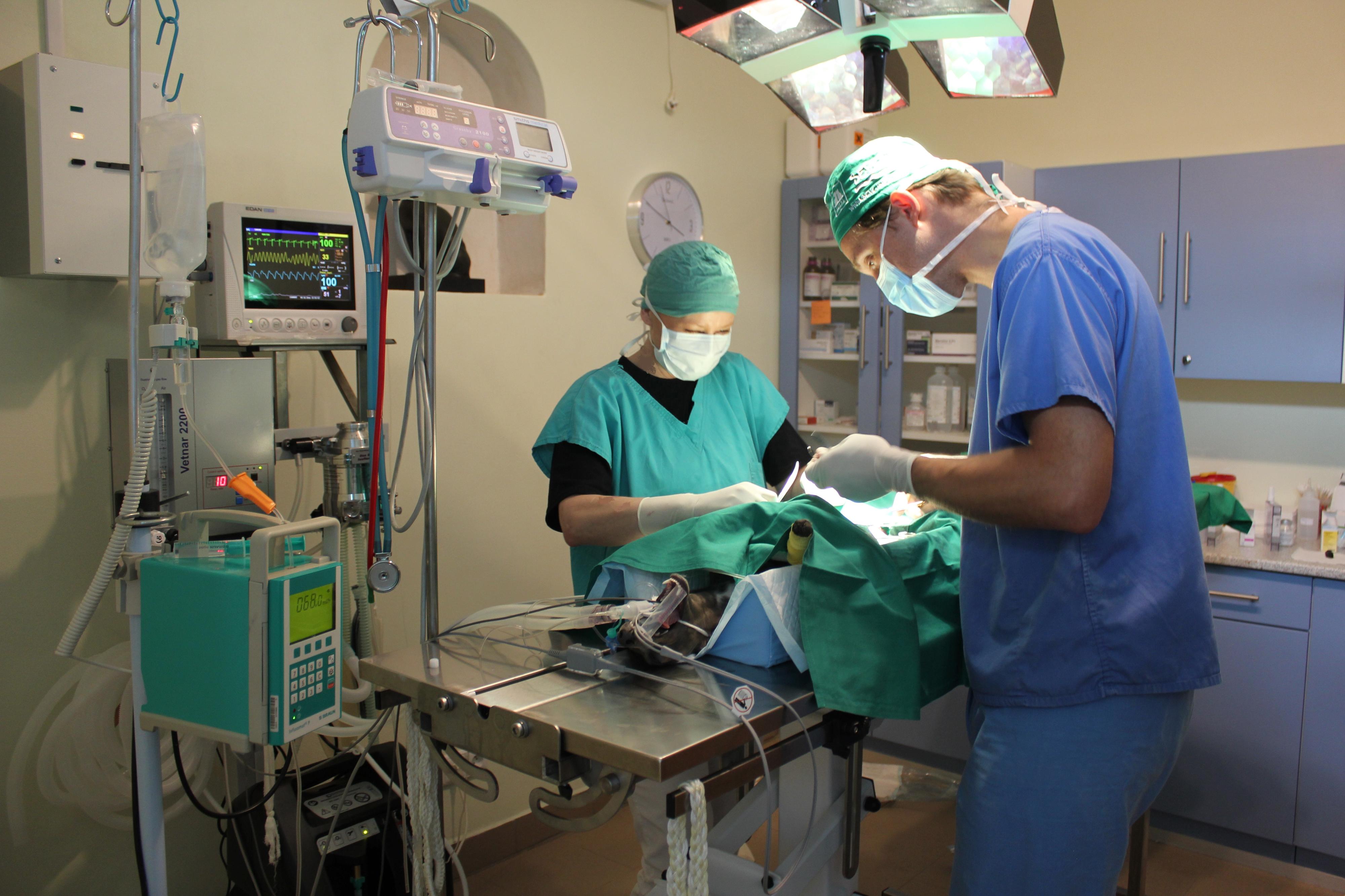 Vethope s.r.o. - veterinární klinika foto 6