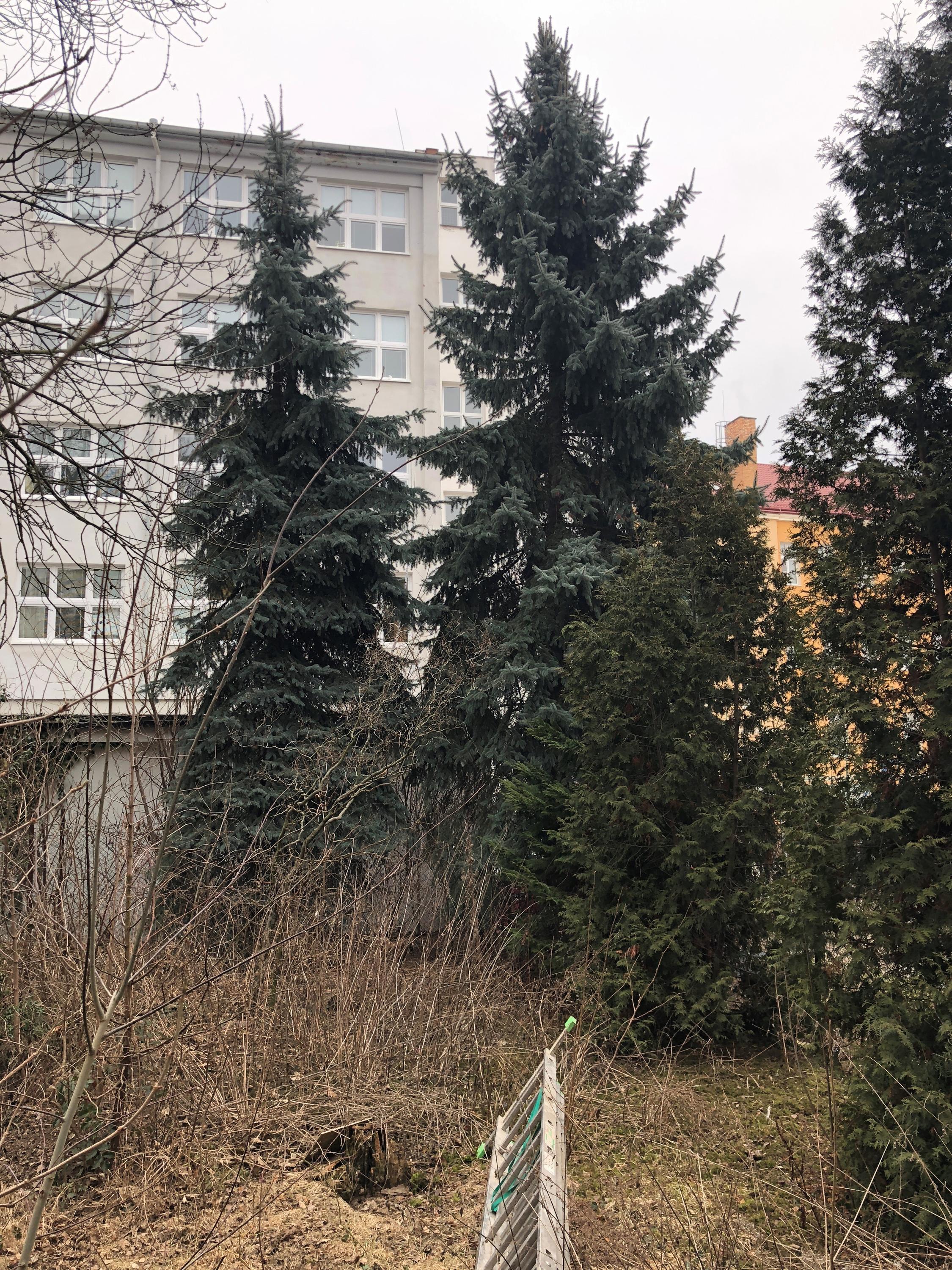 Vyklízení, stěhování a likvidace Plzeň foto 6