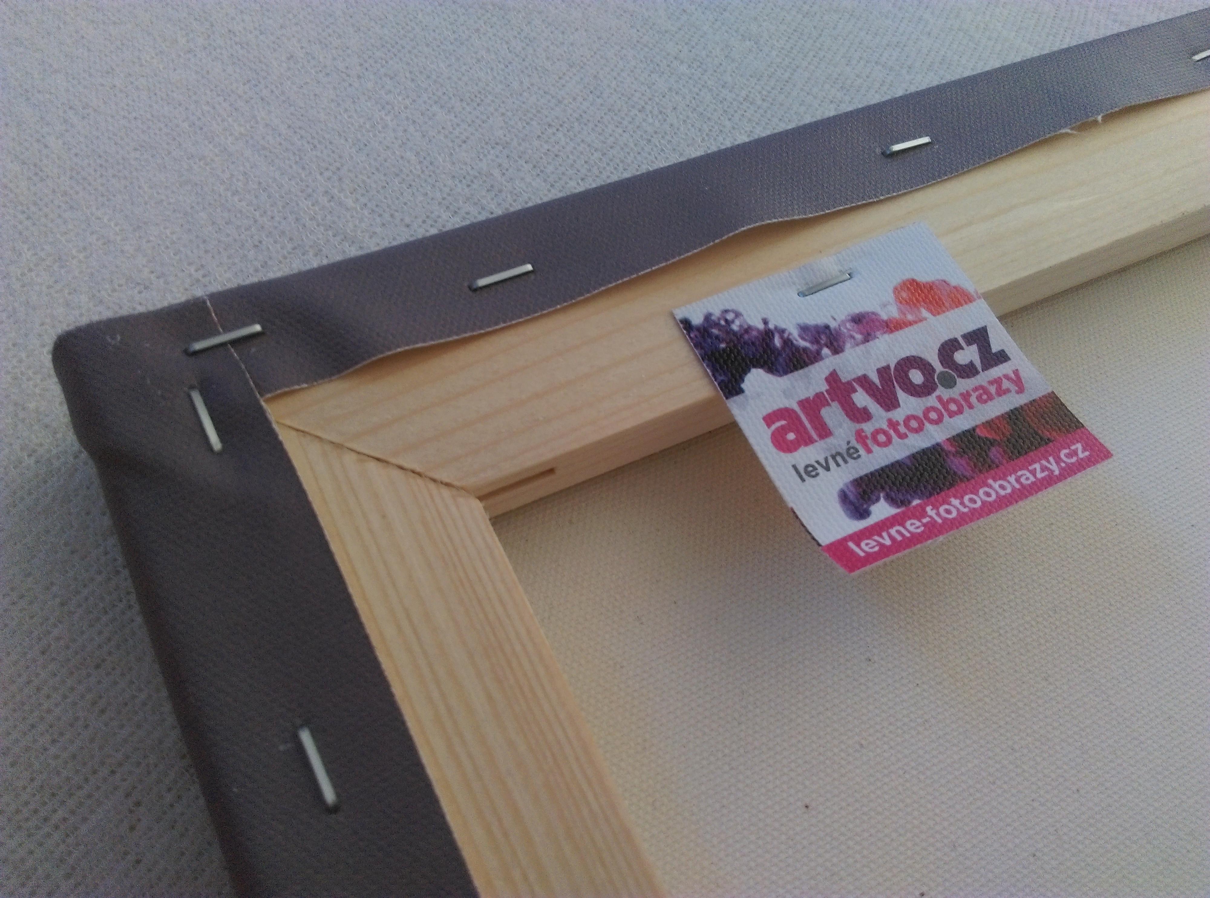 artvo.cz levné fotoobrazy foto 4