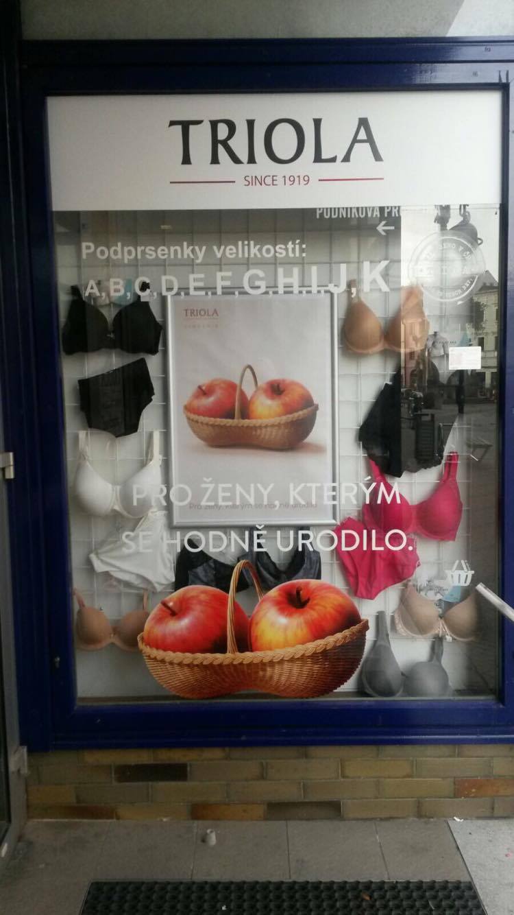 Triola foto 4