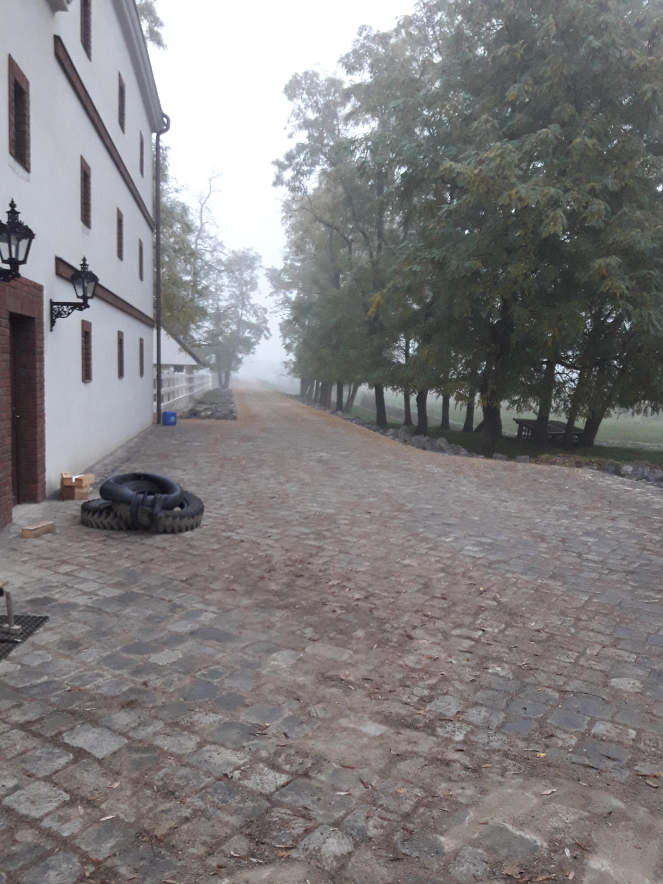 Milan Socha foto 2