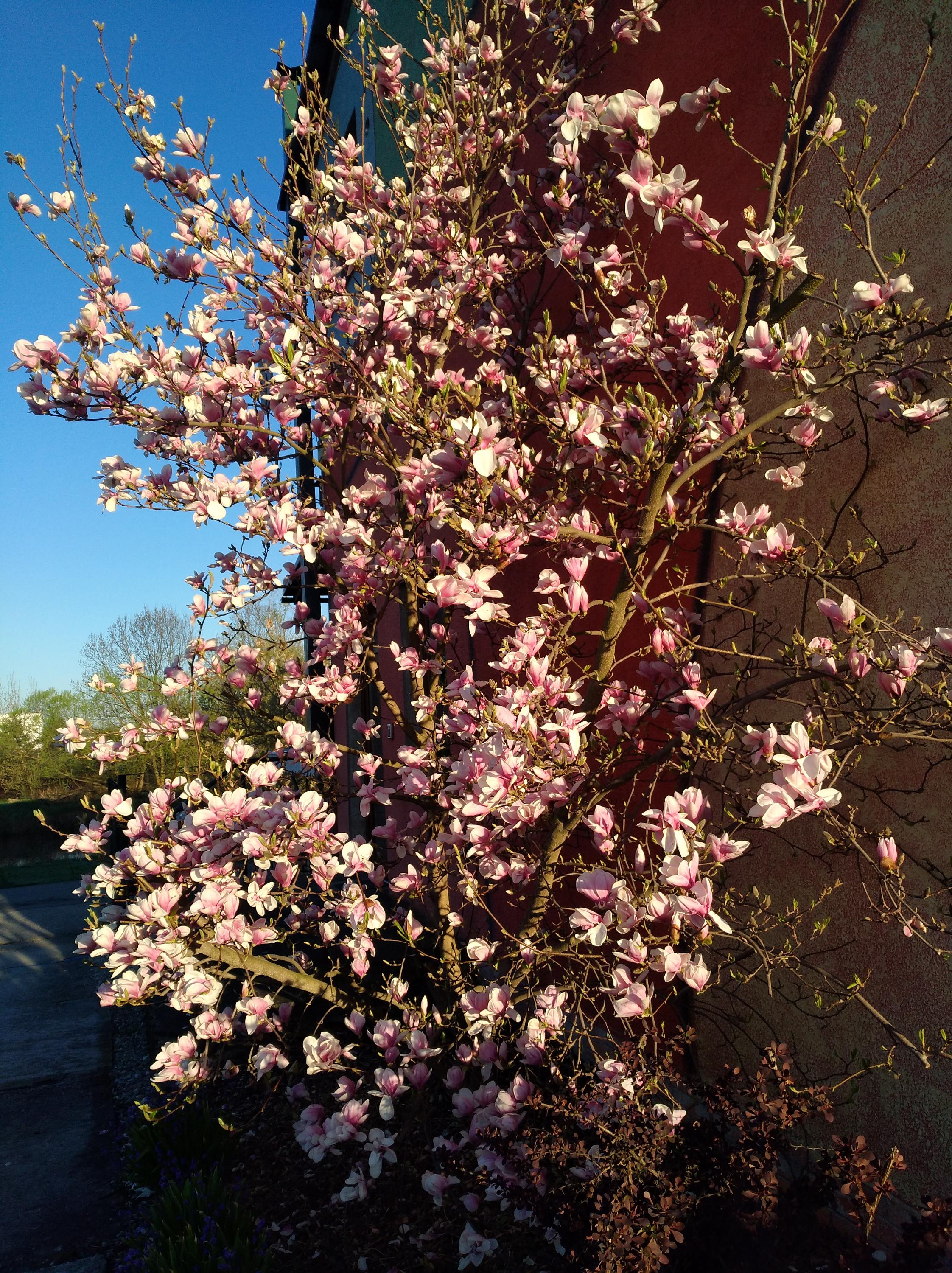 Posezení U Vodníka foto 4