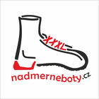 Nadměrná obuv REMONTE DF0913 (dámské nadměrné boty - velikost) v obchodě Nadmerneboty.cz