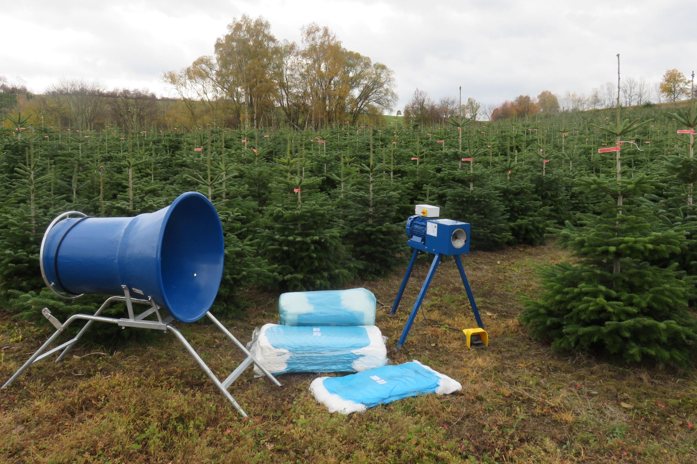 Vánoční stromky Valdman