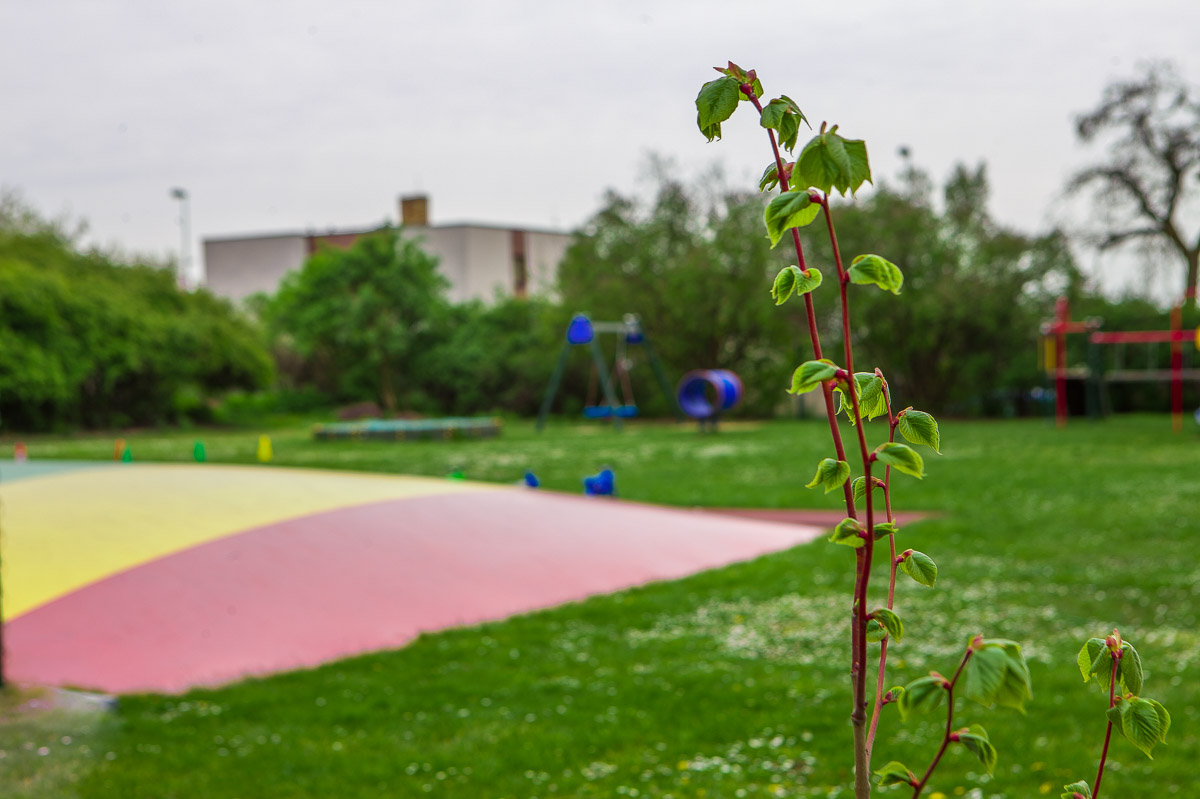 Třebešín Language Preschool foto 5