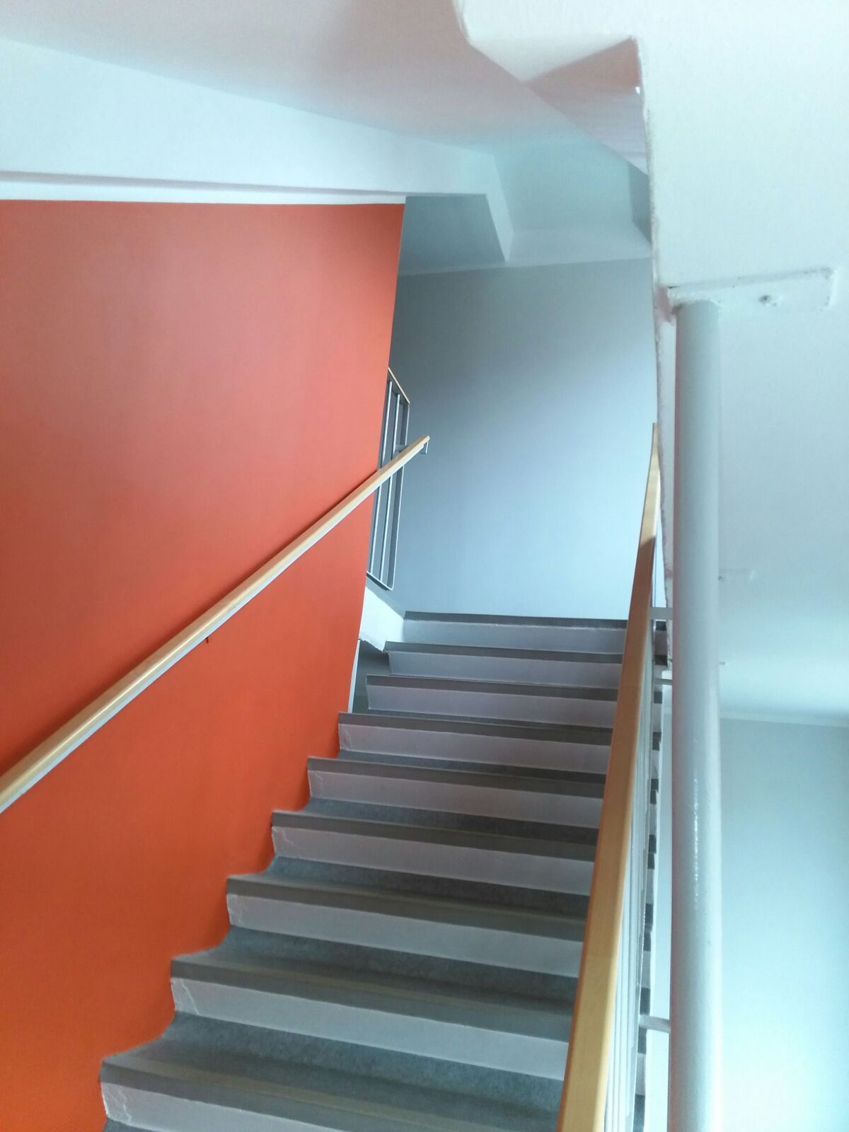 Filip Thomson podlahy-malování foto 6