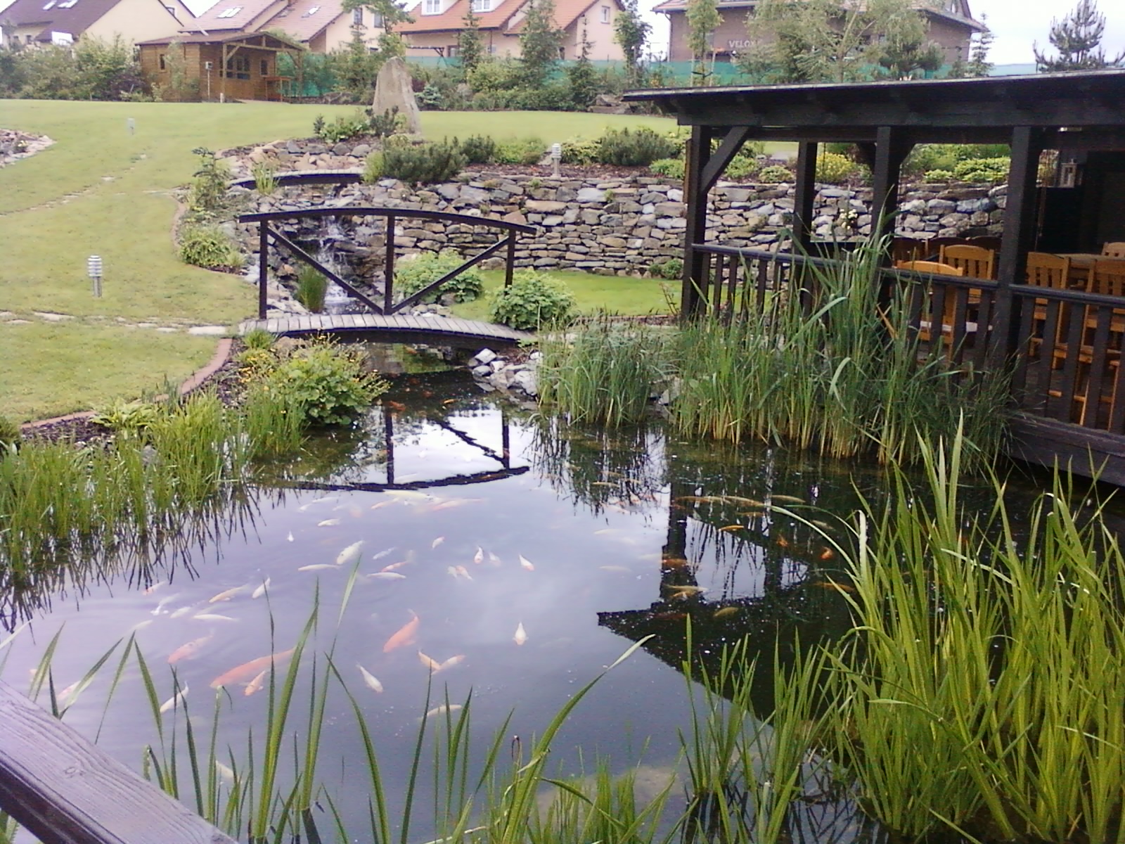 S.D.GARDEN foto 3