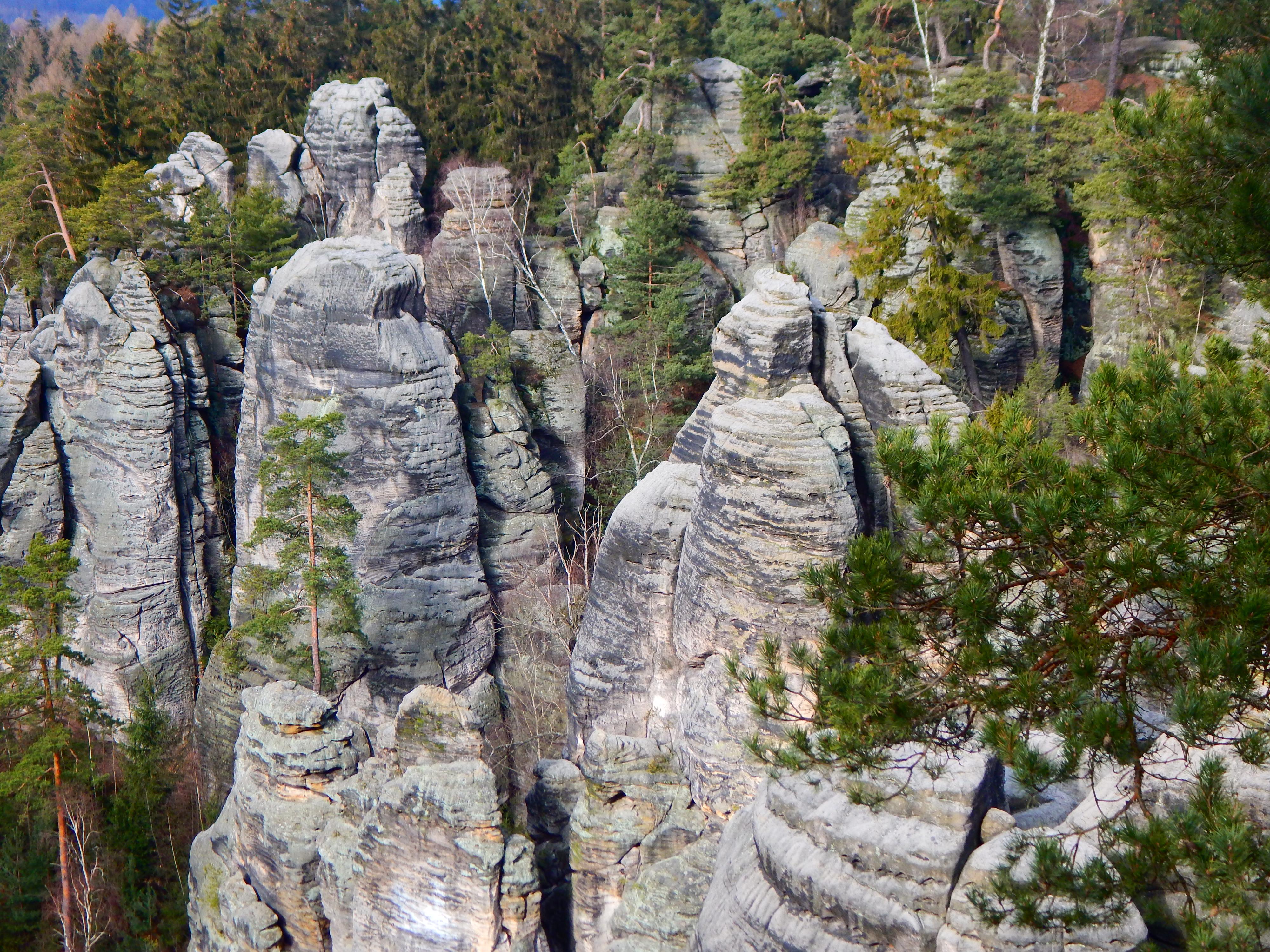 Green Zebra Tours foto 3