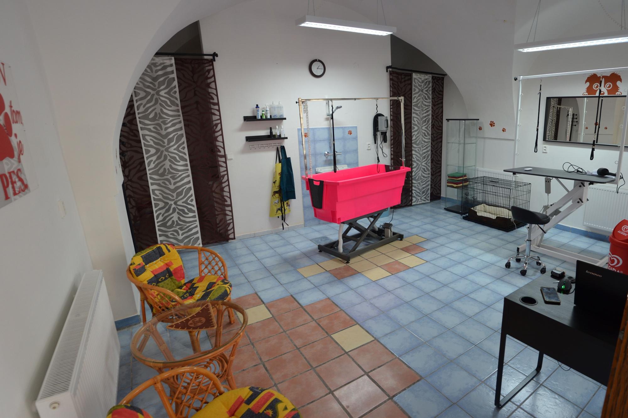 Psí salón Goliáš - Hana Valeriánová