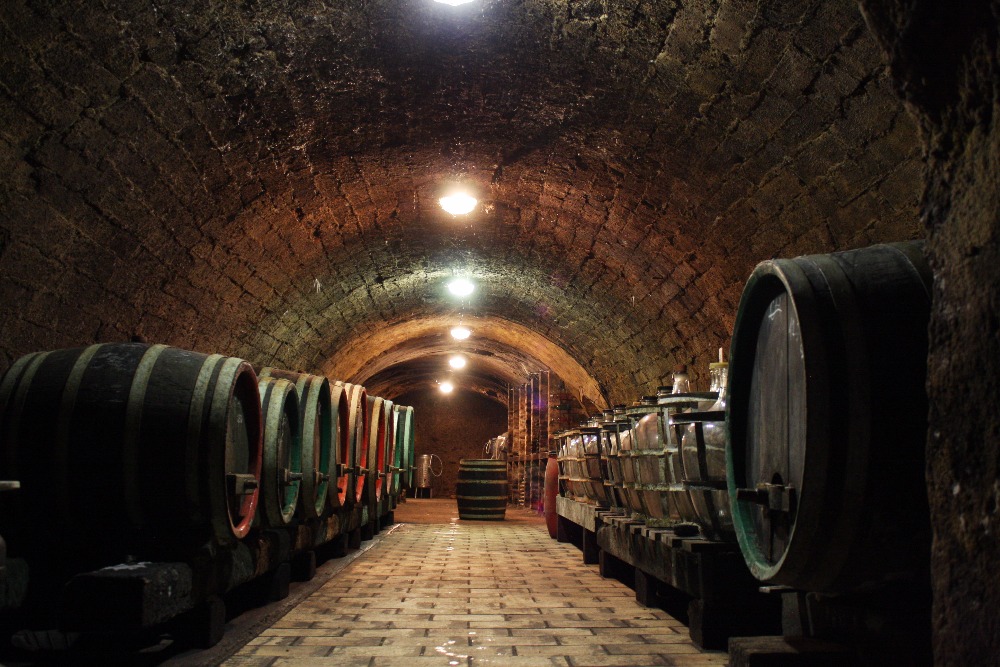 Vinařství Vlašaný