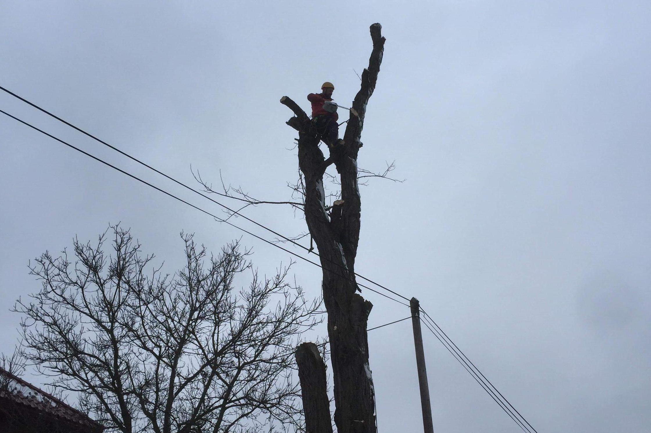 Mário Hamarčák foto 1