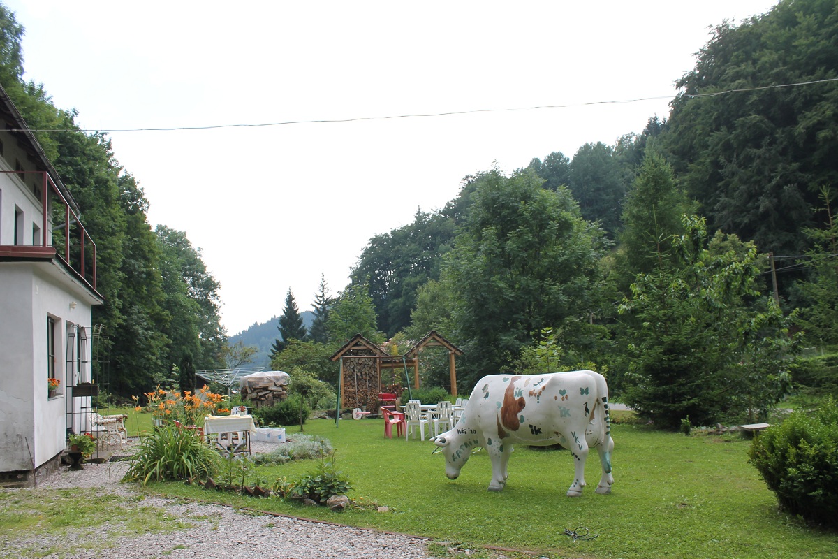 Rekreace u Sazečků foto 3