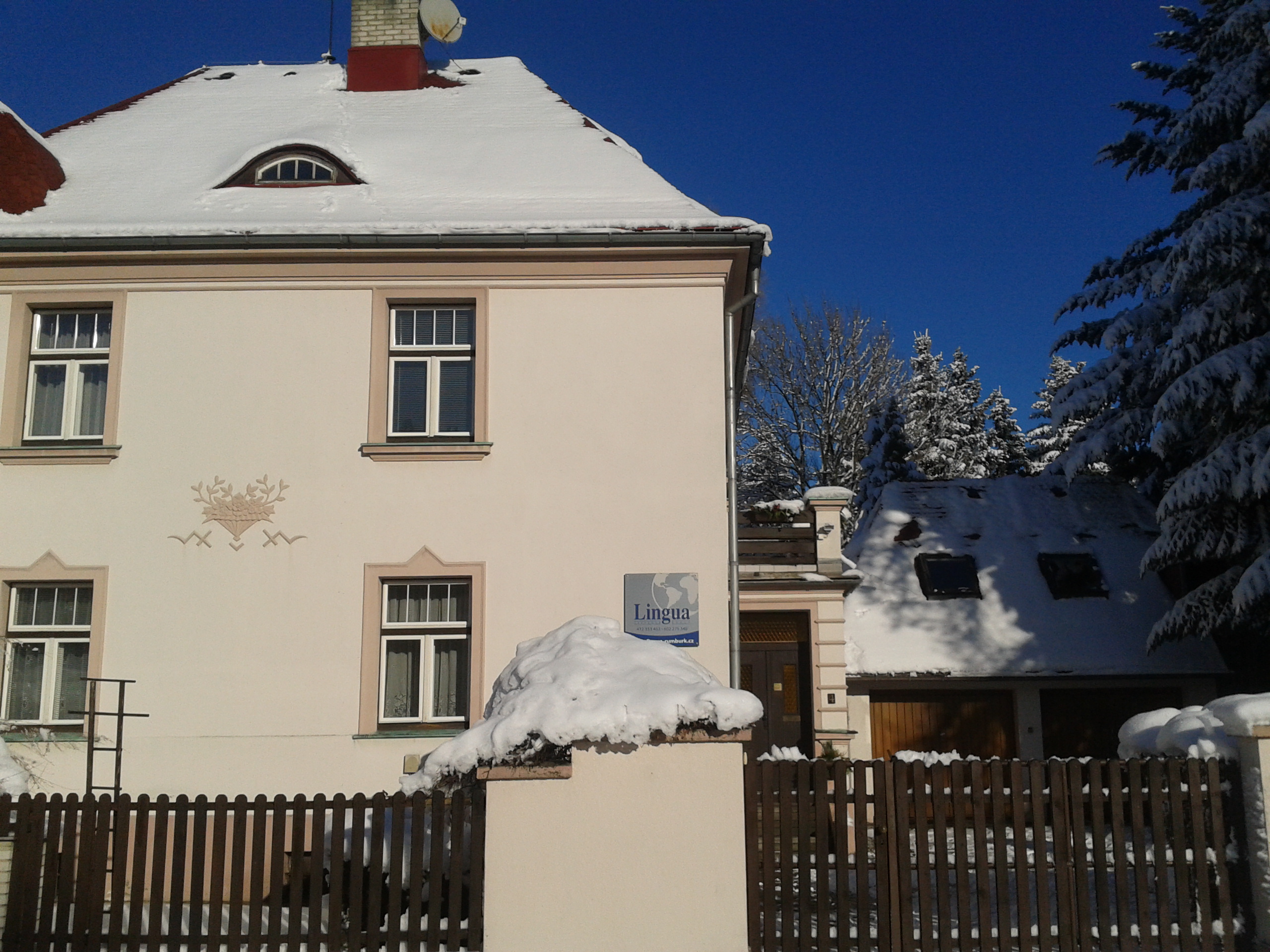 Jazyková škola LINGUA foto 2