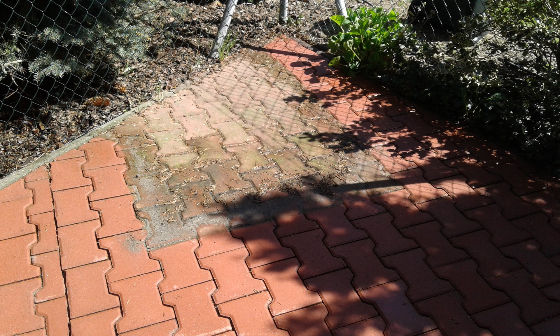 Clean HOUSE - privátní a komerční čistící služby foto 5