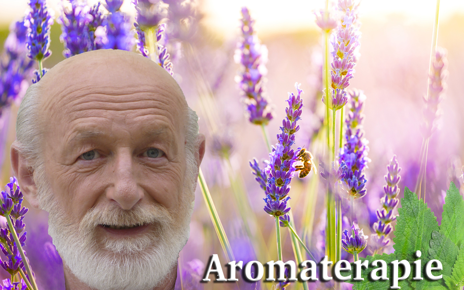 Masérská škola NOW foto 2