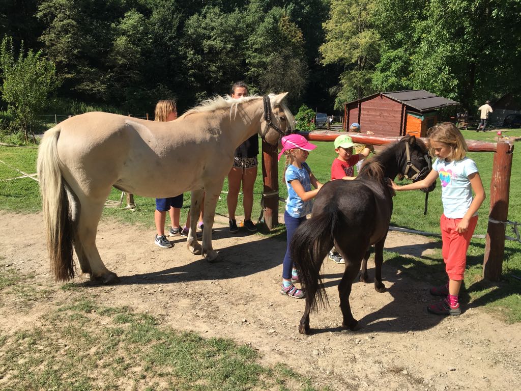 Ranč V Údolí foto 2