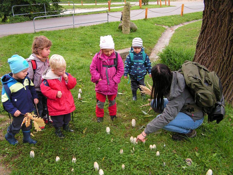 Lesní klub U tří soviček foto 2