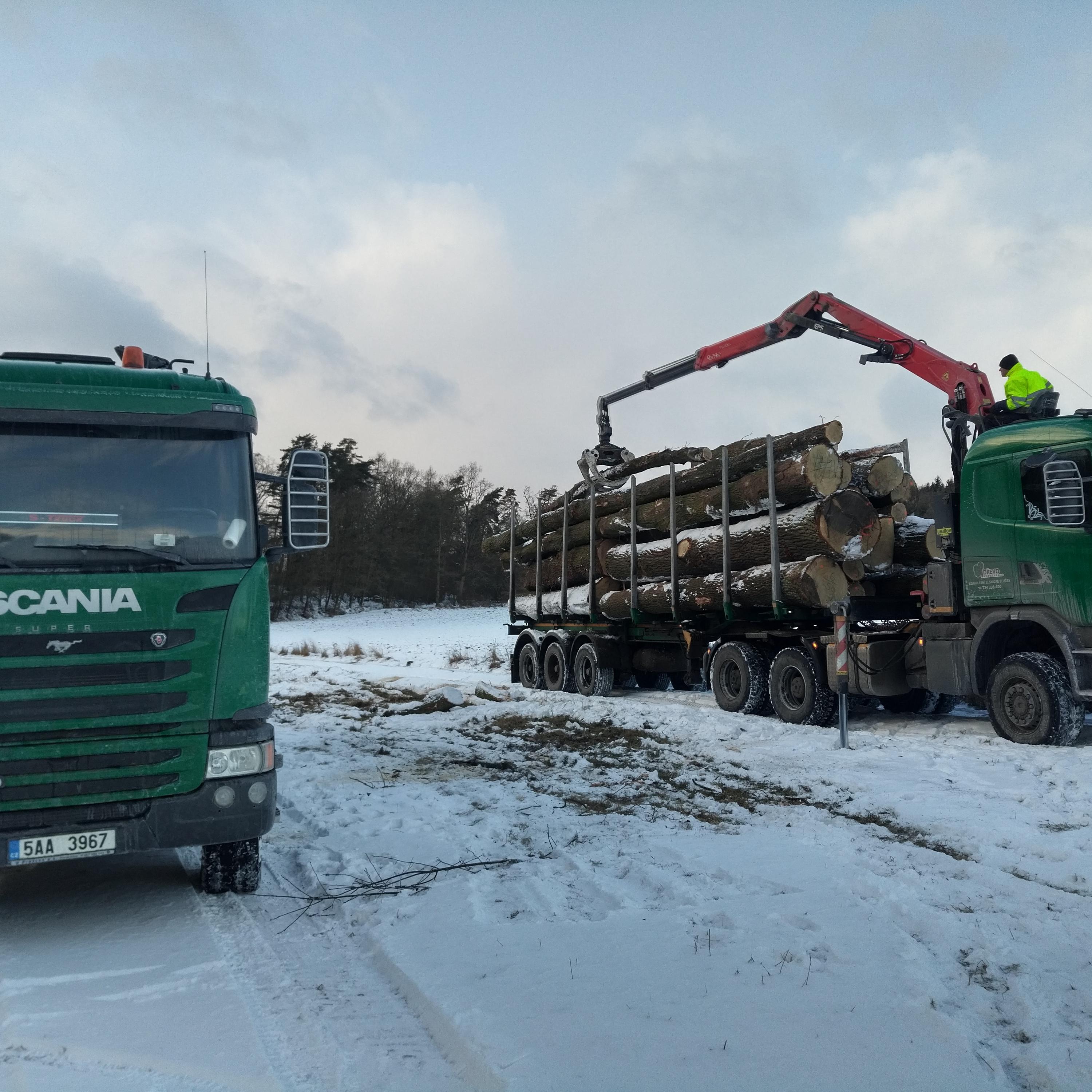 PORT WOOD, s.r.o. foto 3